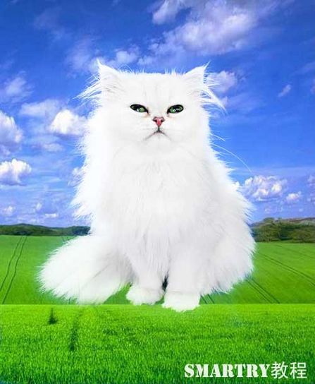 Photoshop抠图完全攻略 Photoshop抠图完全攻略