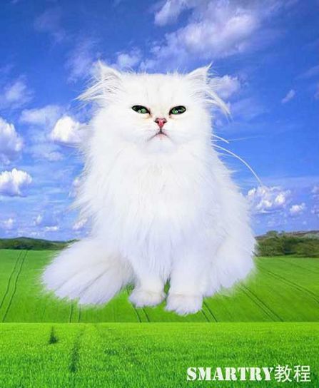 Photoshop抠图完全攻略 Photoshop抠图完全攻略